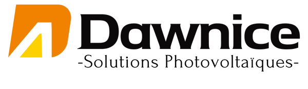 Dawnice France 